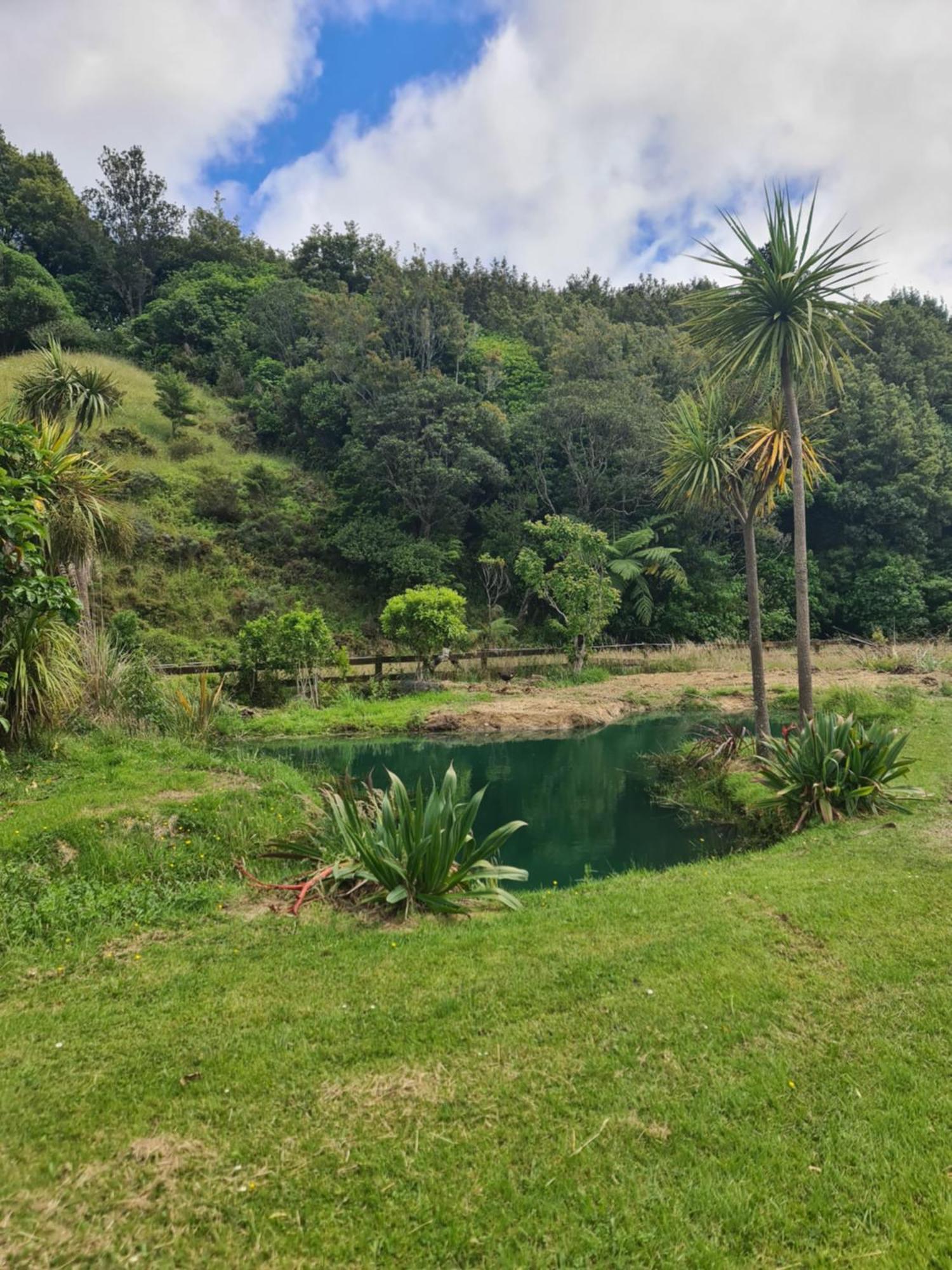 Tiny Home @ Matai Huka Paraparaumu Exterior photo